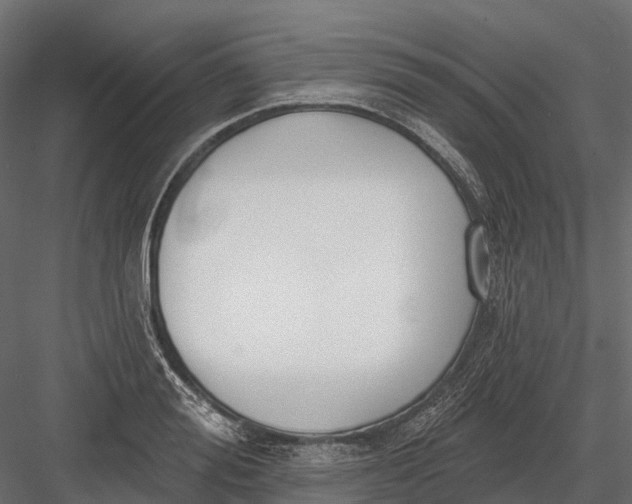 X0000083530988200702240013