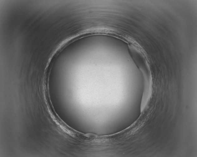 X0000083530989200702240013