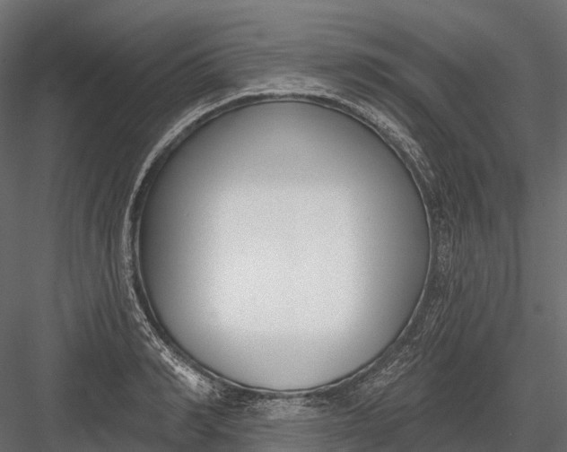 X0000083530990200702240013