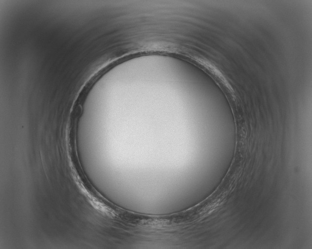 X0000083530991200702240013