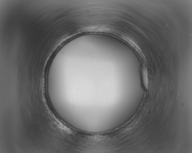 X0000083530992200702240013