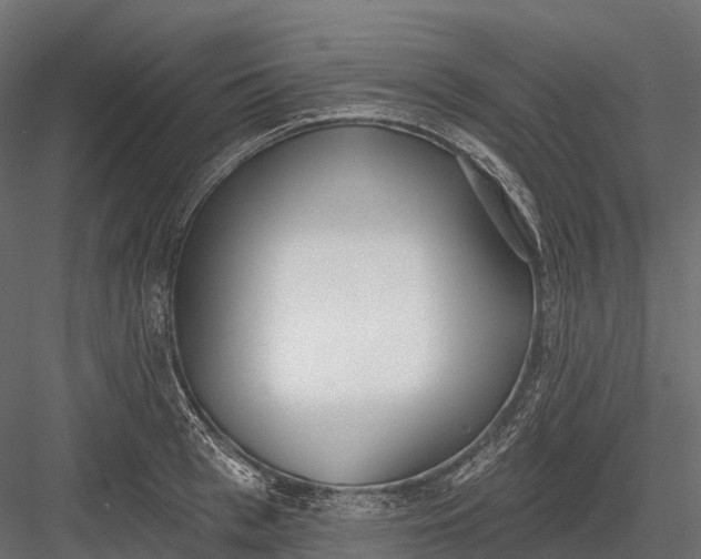 X0000083530993200702240013