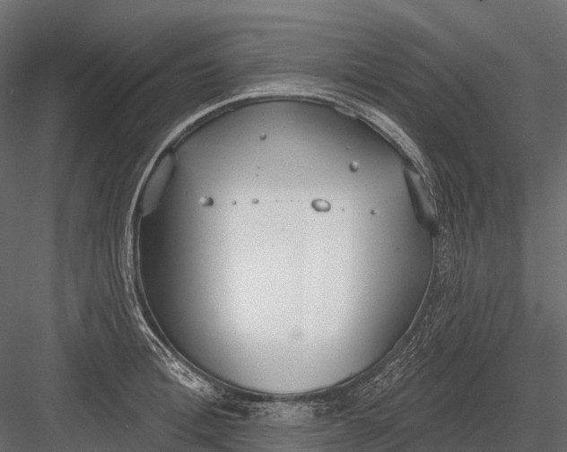 X0000083530996200702240013