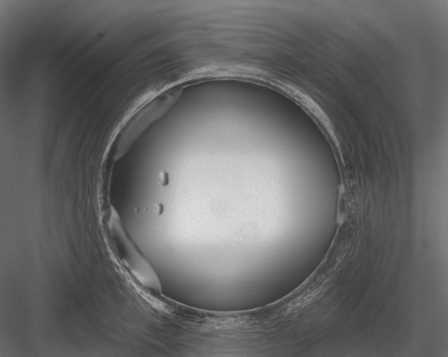 X0000083530997200702240013