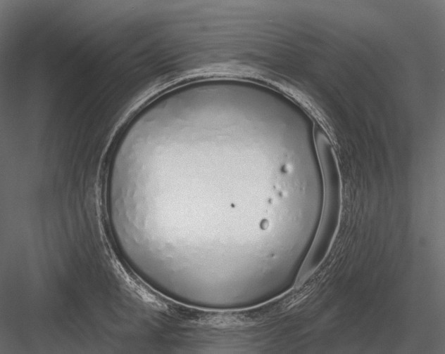 X0000083530998200702240013