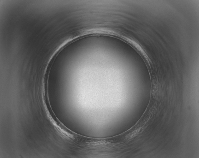 X0000083530999200702240013