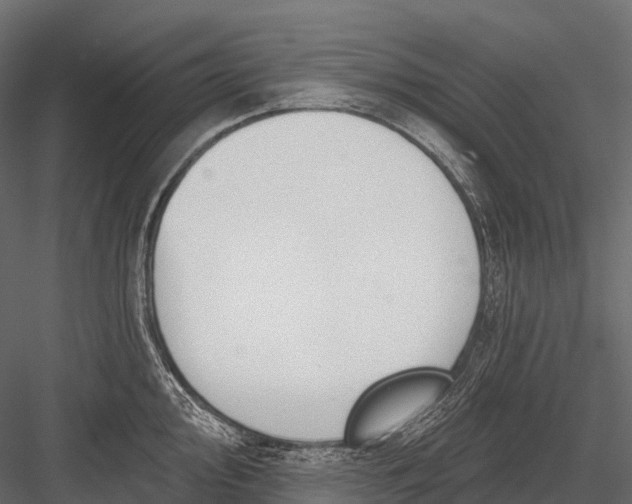 X0000083531000200702240013