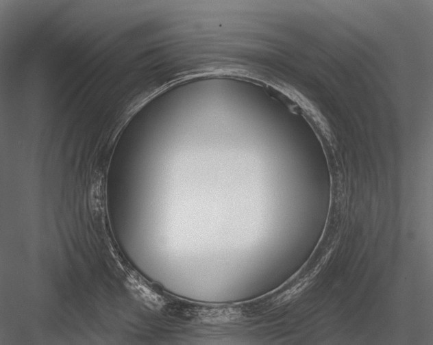 X0000083531001200702240013