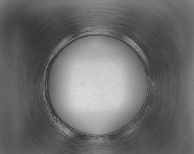 X0000083531002200702240013