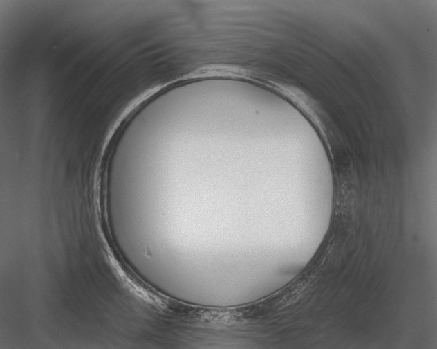 X0000083531003200702240013