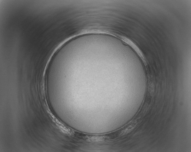 X0000083531004200702240013