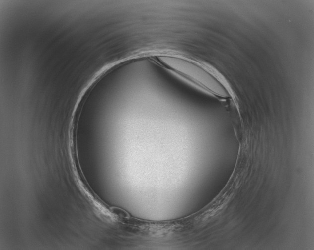 X0000083531005200702240013