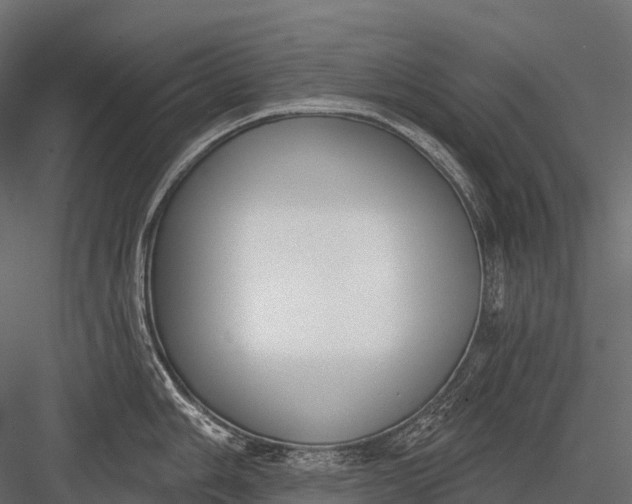 X0000083531006200702240013