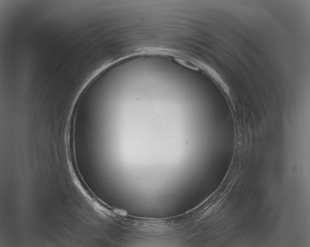 X0000083531007200702240013