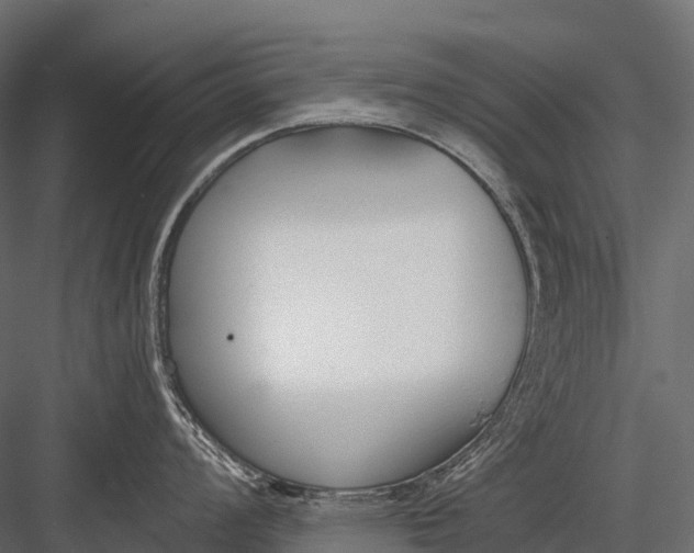 X0000083531008200702240013