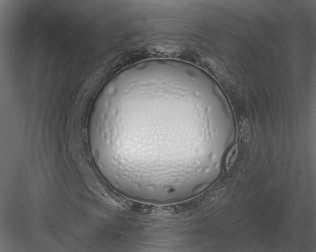 X0000083531009200702240012