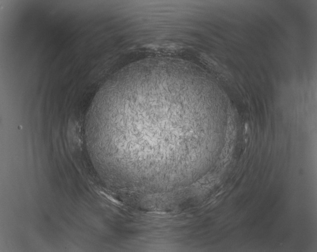 X0000083531010200702240012