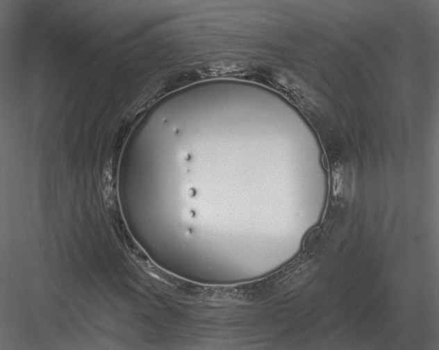 X0000083531011200702240012