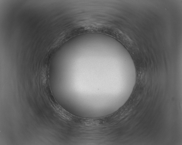 X0000083531012200702240012