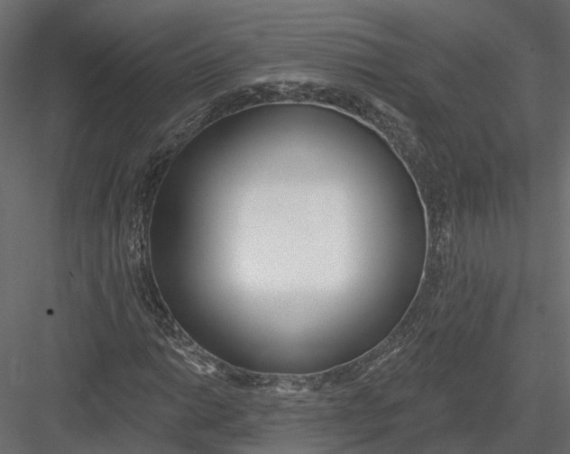 X0000083531014200702240012