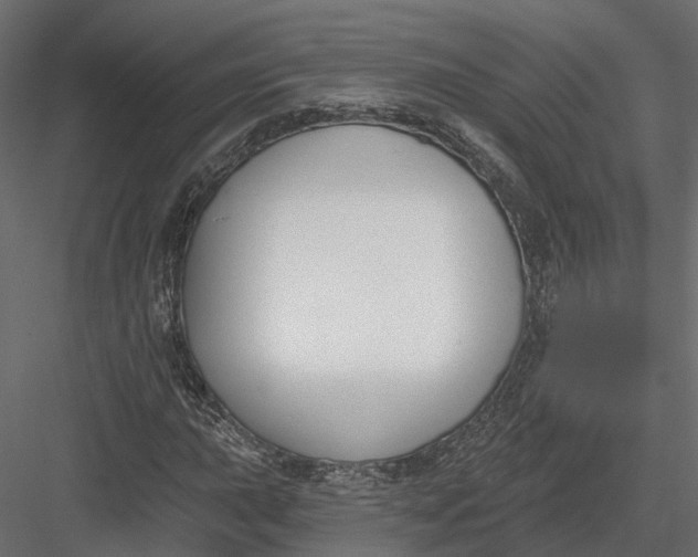 X0000083531015200702240012