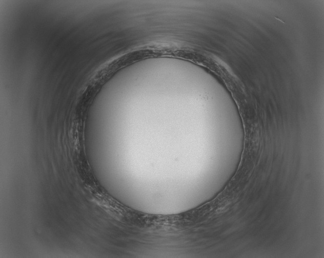 X0000083531016200702240012