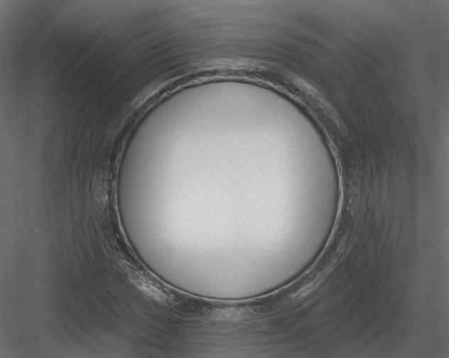 X0000083531017200702240012