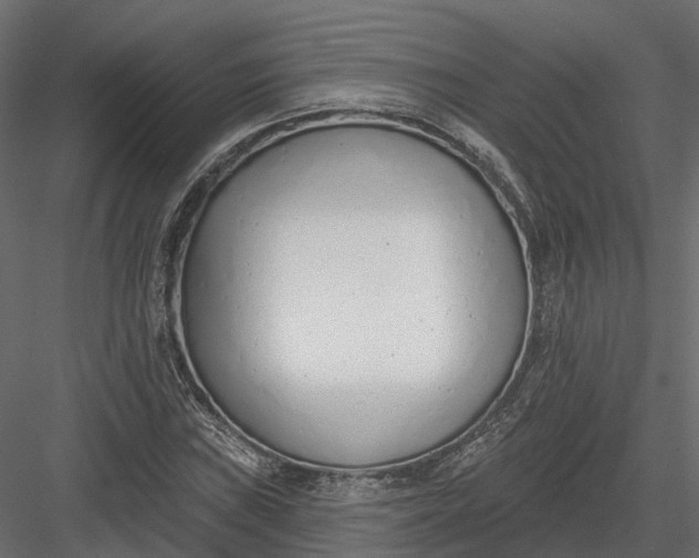 X0000083531019200702240012