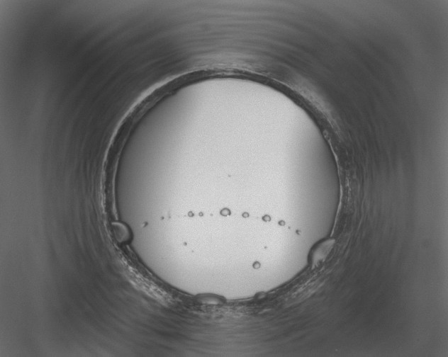 X0000083531020200702240012