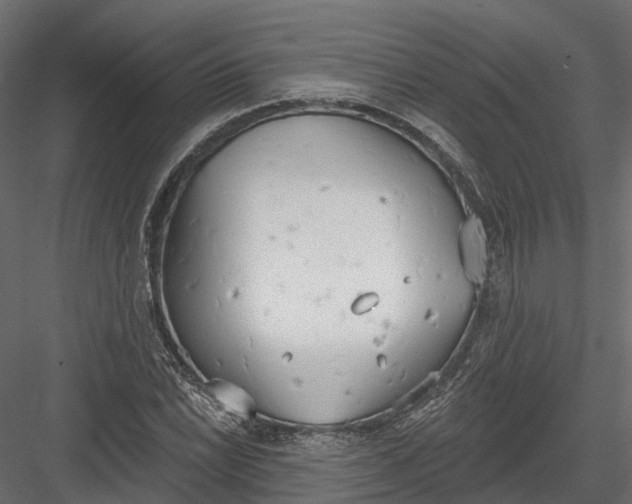 X0000083531022200702240012