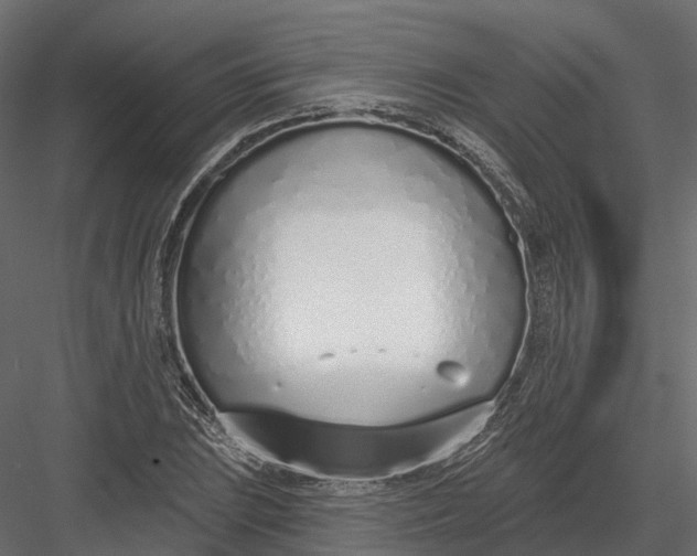 X0000083531023200702240012