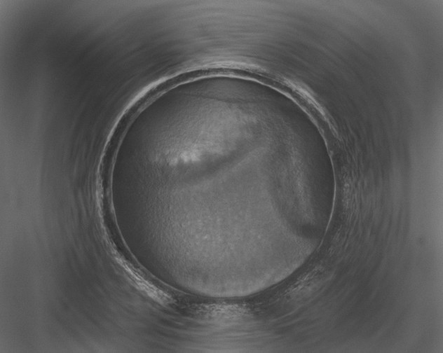 X0000083531024200702240012