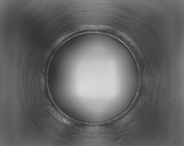 X0000083531025200702240012