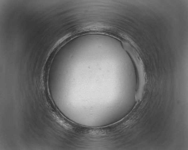 X0000083531026200702240012