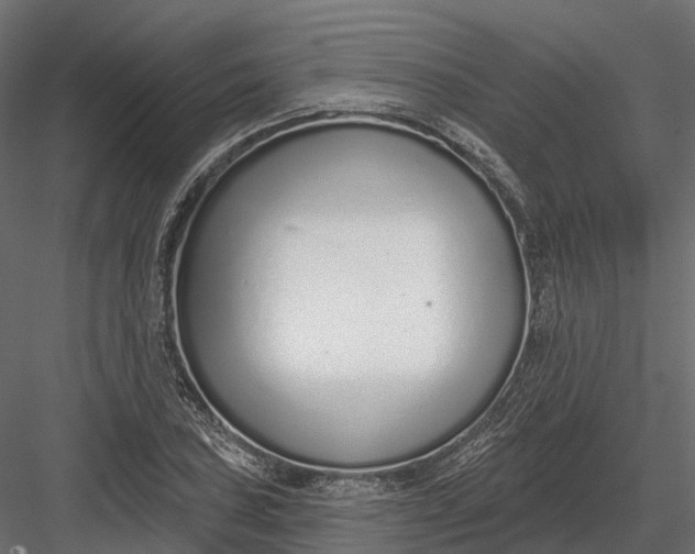 X0000083531027200702240012