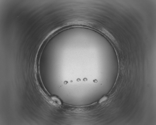 X0000083531028200702240012