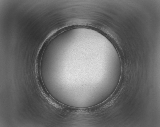 X0000083531029200702240012