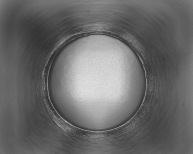 X0000083531031200702240013