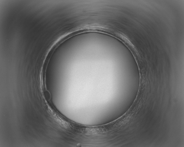 X0000083531032200702240013