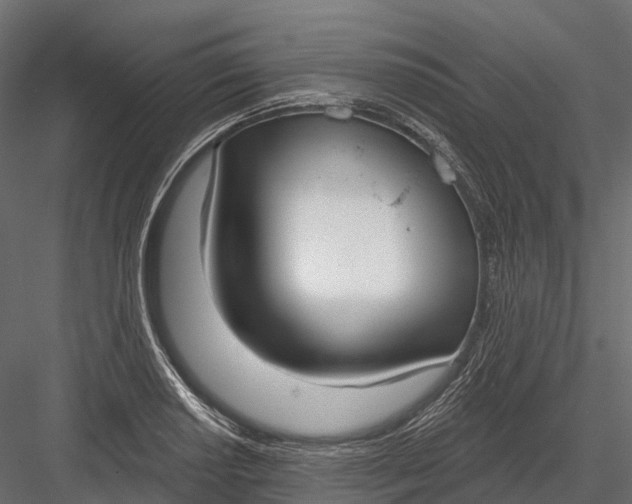 X0000083531034200702240013