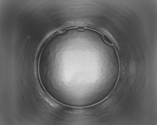 X0000083531035200702240013