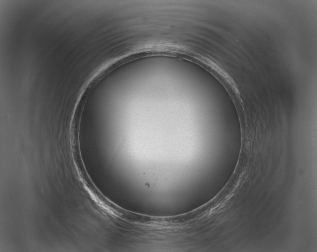 X0000083531037200702240013