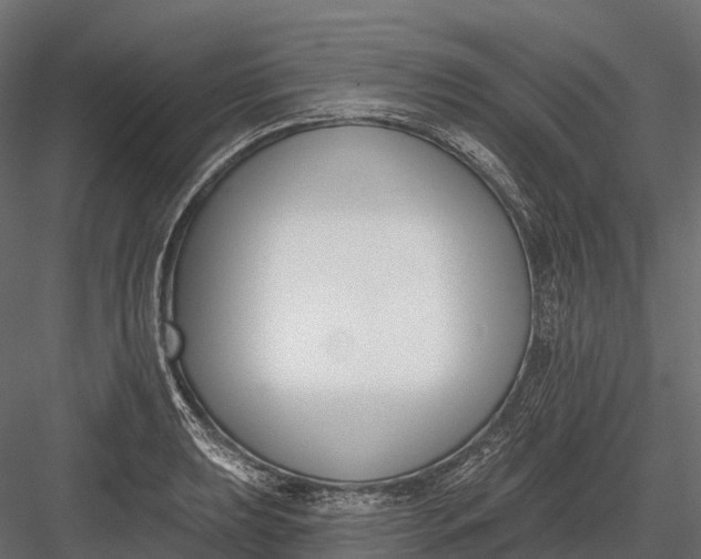 X0000083531039200702240013