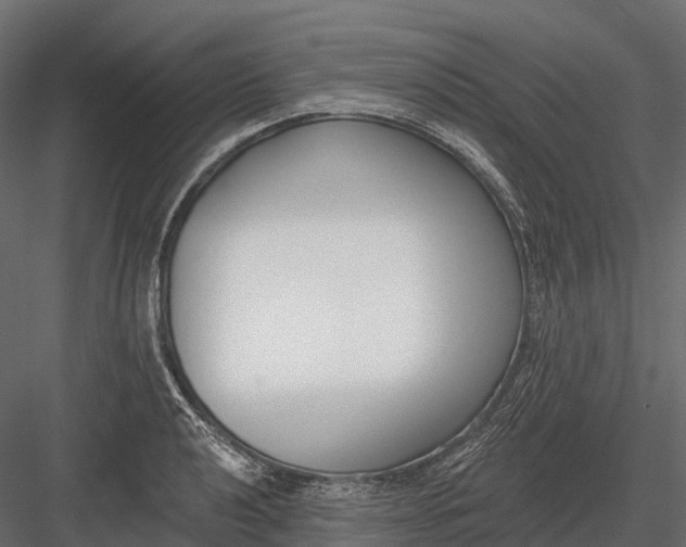 X0000083531040200702240013