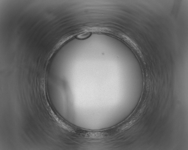 X0000083531041200702240013