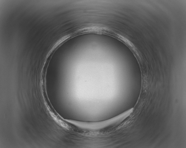 X0000083531042200702240013