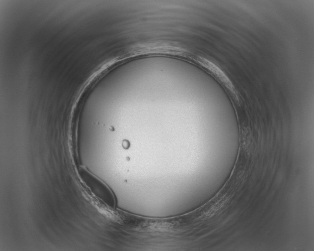 X0000083531043200702240013