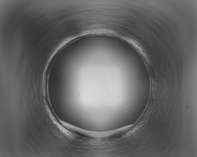 X0000083531046200702240013