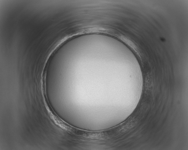 X0000083531047200702240013