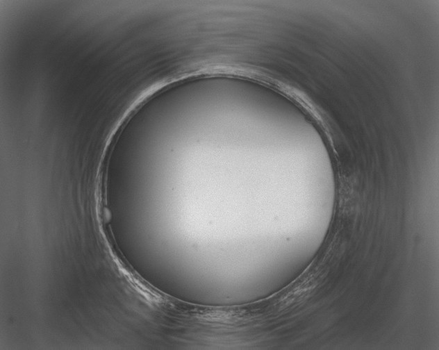 X0000083531048200702240013